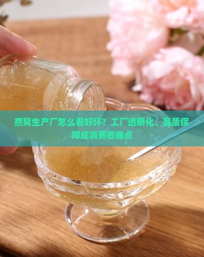 燕窝生产厂怎么看好坏啊
