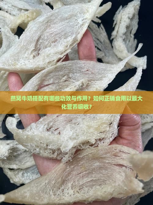 燕窝牛奶功效是什么样的