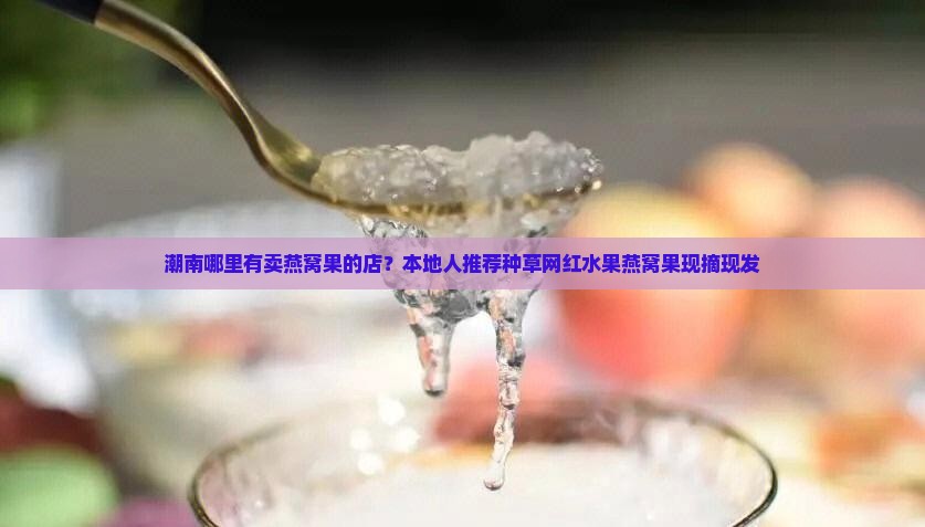 潮南哪里有卖燕窝果的店
