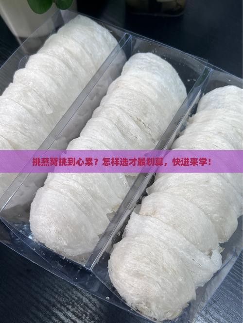 燕窝怎么挑选性价比最高