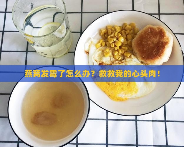 如何解决燕窝发霉问题