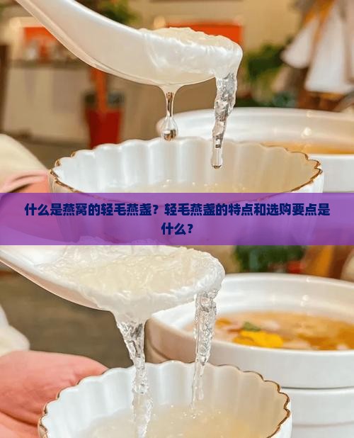 什么是燕窝的轻毛燕盏