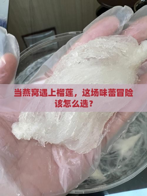 当燕窝遇见榴莲怎么办呢
