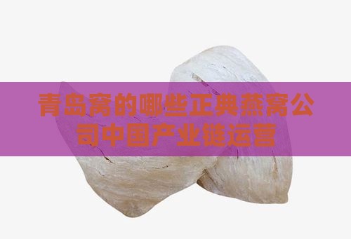青岛卖燕窝的网红有哪些