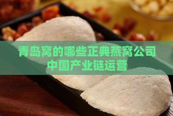 青岛卖燕窝的网红有哪些