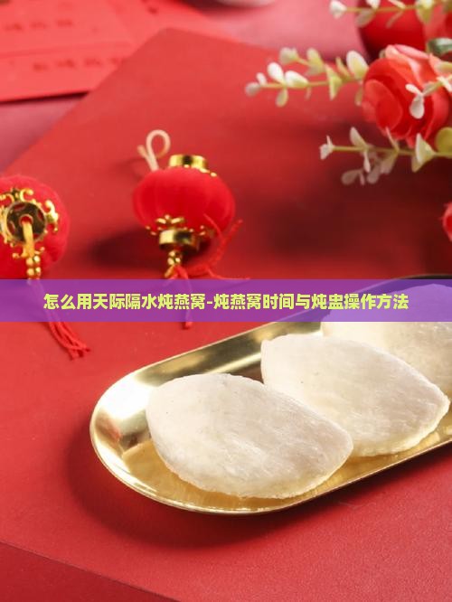 怎么用天际隔水炖燕窝