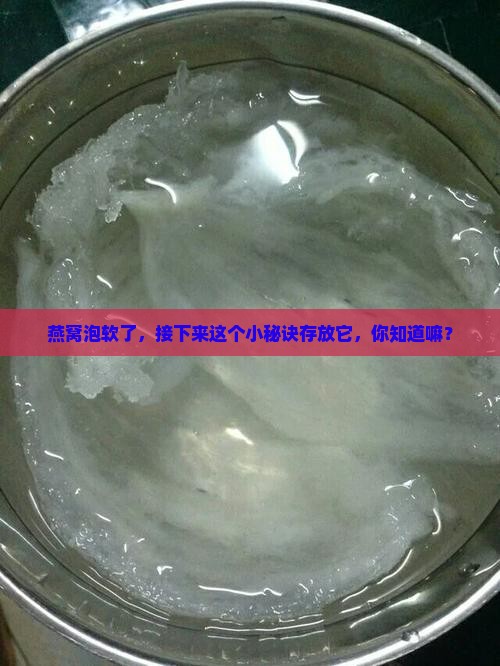 燕窝泡发之后怎么存放