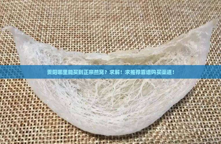 燕窝贵阳哪里有卖的啊