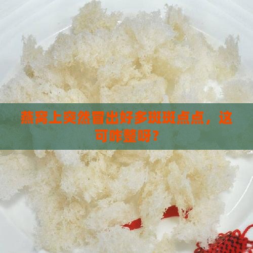 燕窝起了很多斑点怎么办