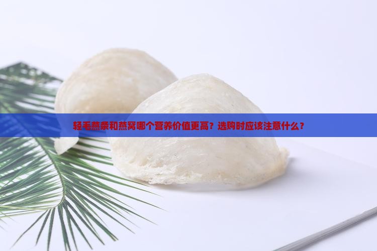 轻毛燕条和燕窝哪个好