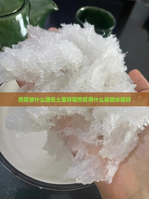 燕窝放什么埋在土里好呢