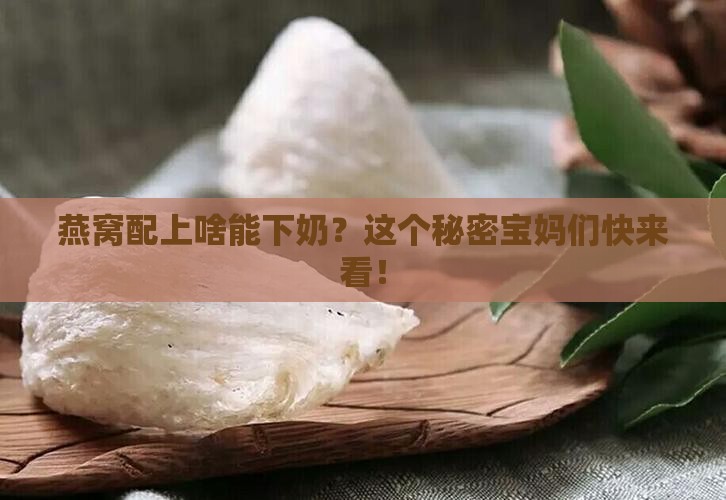 燕窝搭配什么是发奶的 燕窝搭配什么是发奶的