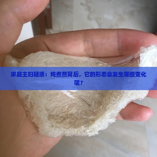 燕窝炖煮后是什么形状呢