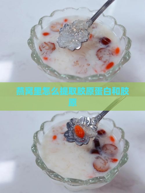 燕窝里怎么出胶原蛋白