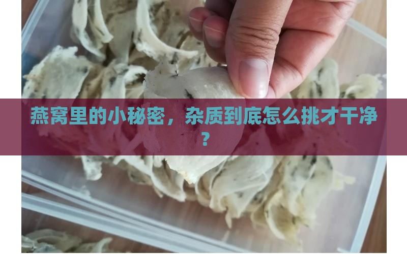 如何把燕窝的杂质挑走