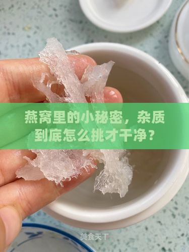 如何把燕窝的杂质挑走