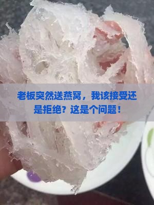 老板让我喝燕窝怎么办
