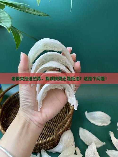 老板让我喝燕窝怎么办