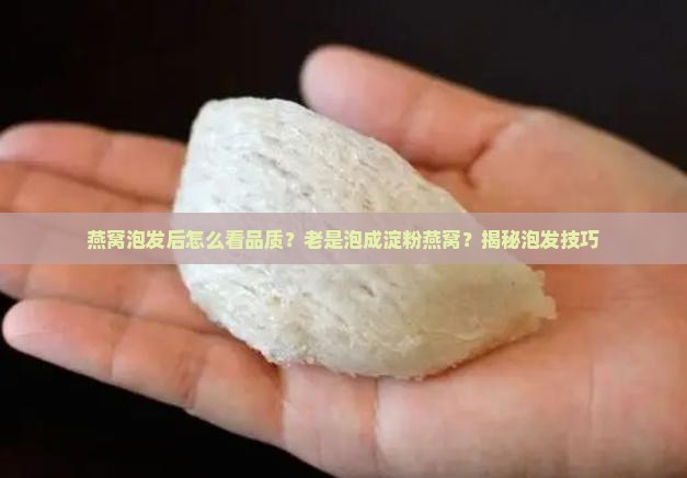 燕窝泡发后怎么看品质
