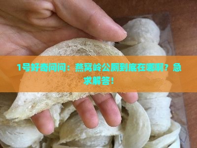 燕窝岭公厕在哪个位置
