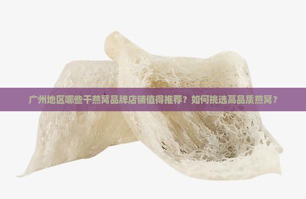干燕窝品牌广州有哪些店