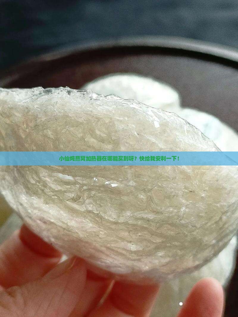小仙炖燕窝加热器哪里买