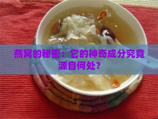 燕窝的主要成分来自哪里