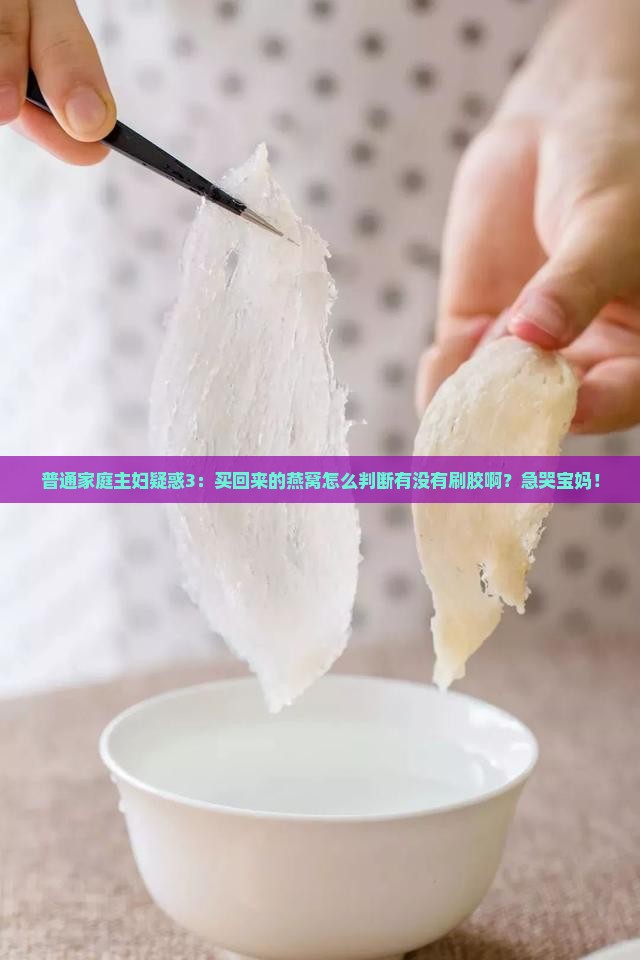 怎么分辨燕窝有无刷胶