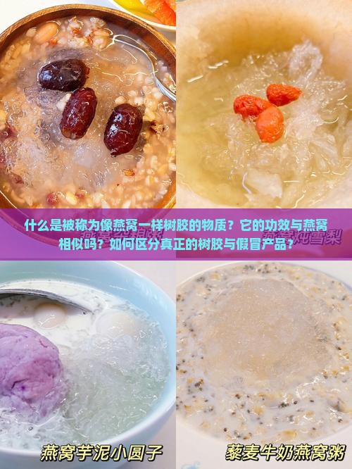像燕窝一样树胶的叫什么