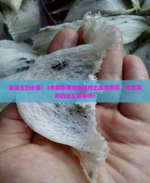 珐琅锅能炖燕窝吗怎么炖