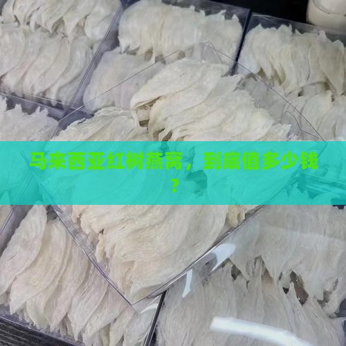 马来西亚红树燕窝多少钱