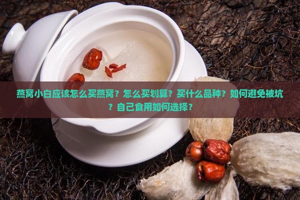 燕窝小白应该怎么买燕窝