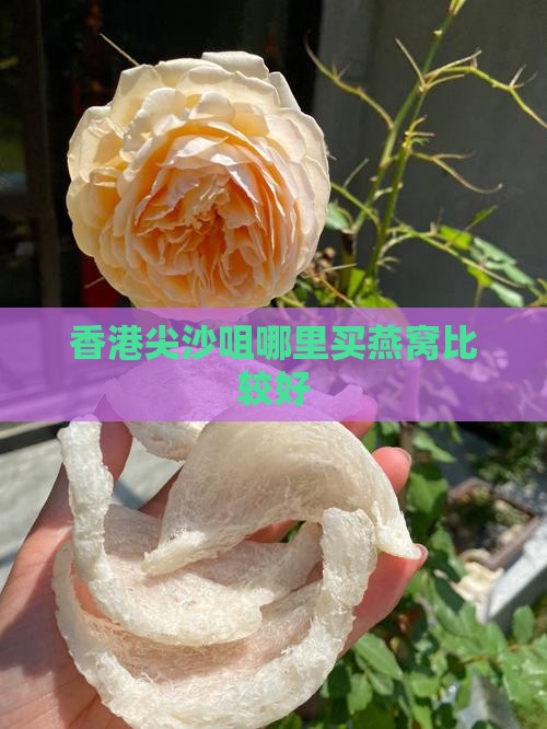 尖沙咀哪里卖燕窝好一点