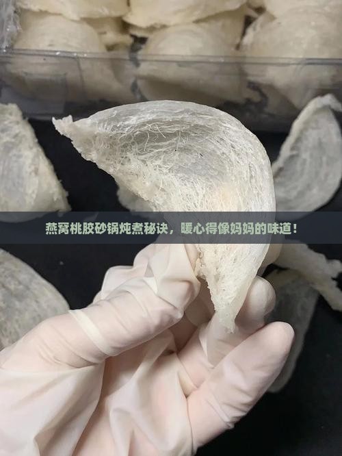 燕窝桃胶砂锅怎么炖的好