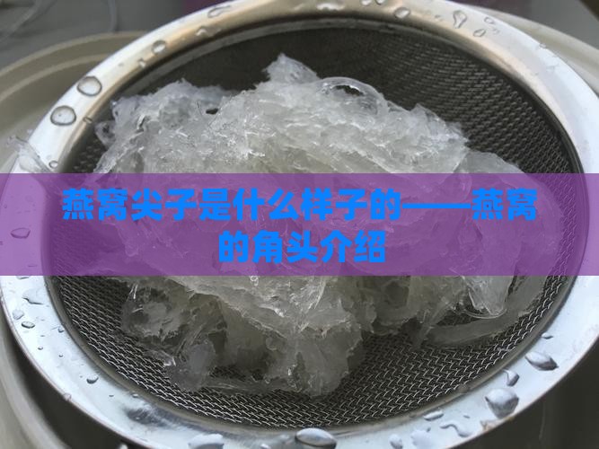 燕窝尖子是什么样子的