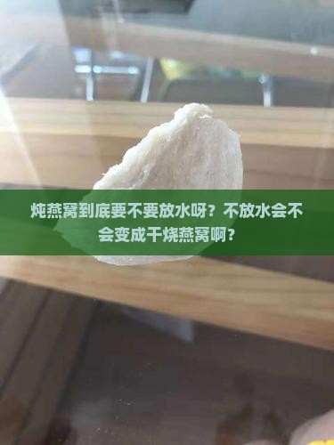 炖燕窝要放水炖吗为什么