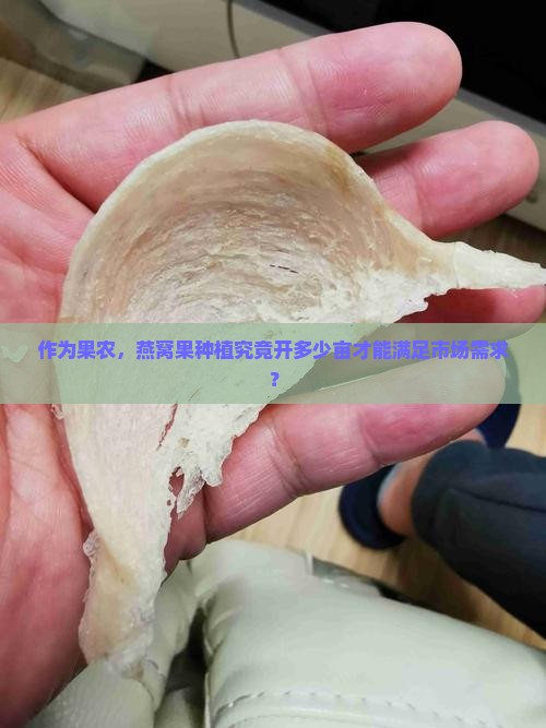 燕窝果一般种植多少亩地