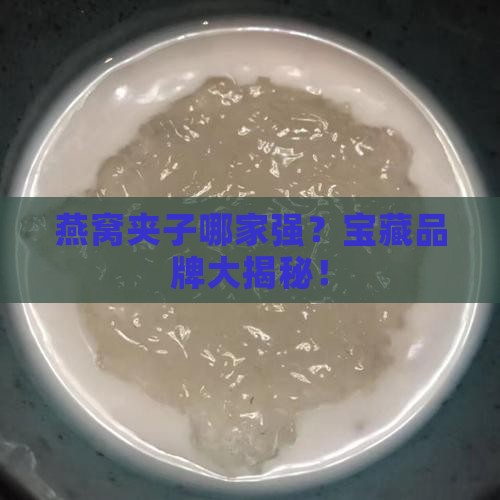 燕窝夹子推荐品牌有哪些