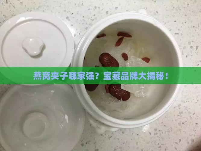 燕窝夹子推荐品牌有哪些