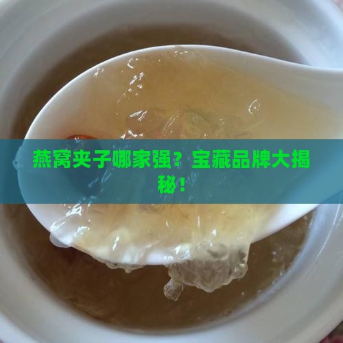 燕窝夹子推荐品牌有哪些