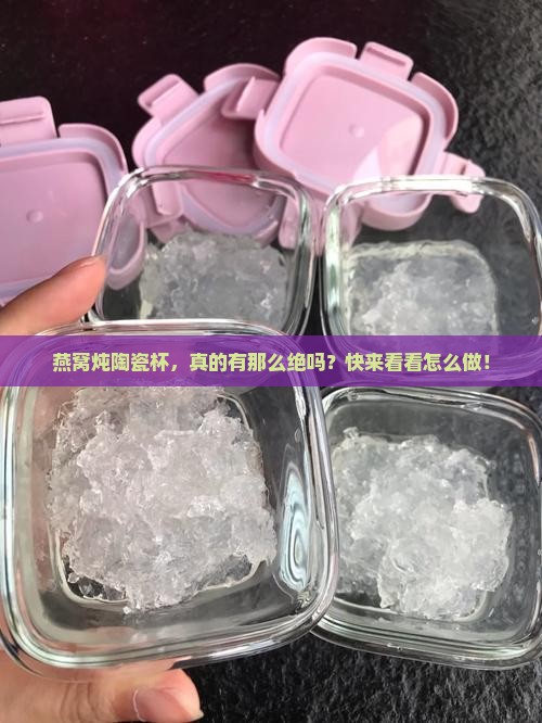 燕窝炖陶瓷杯好吗怎么做