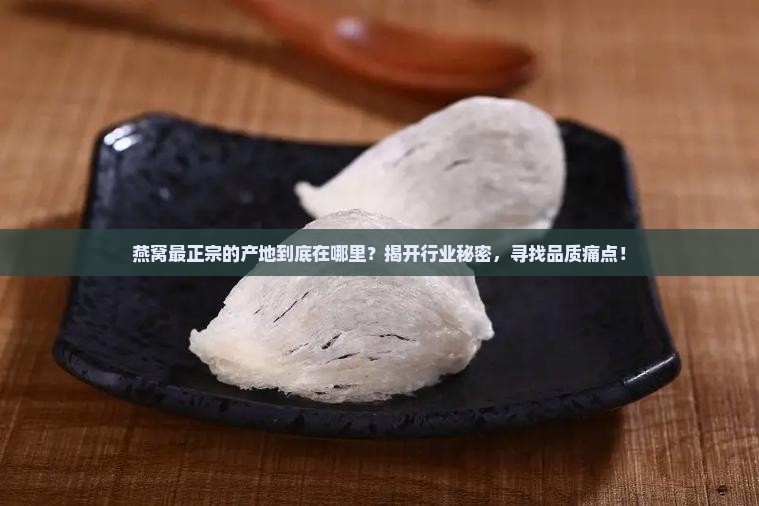 燕窝最正宗产地是哪里