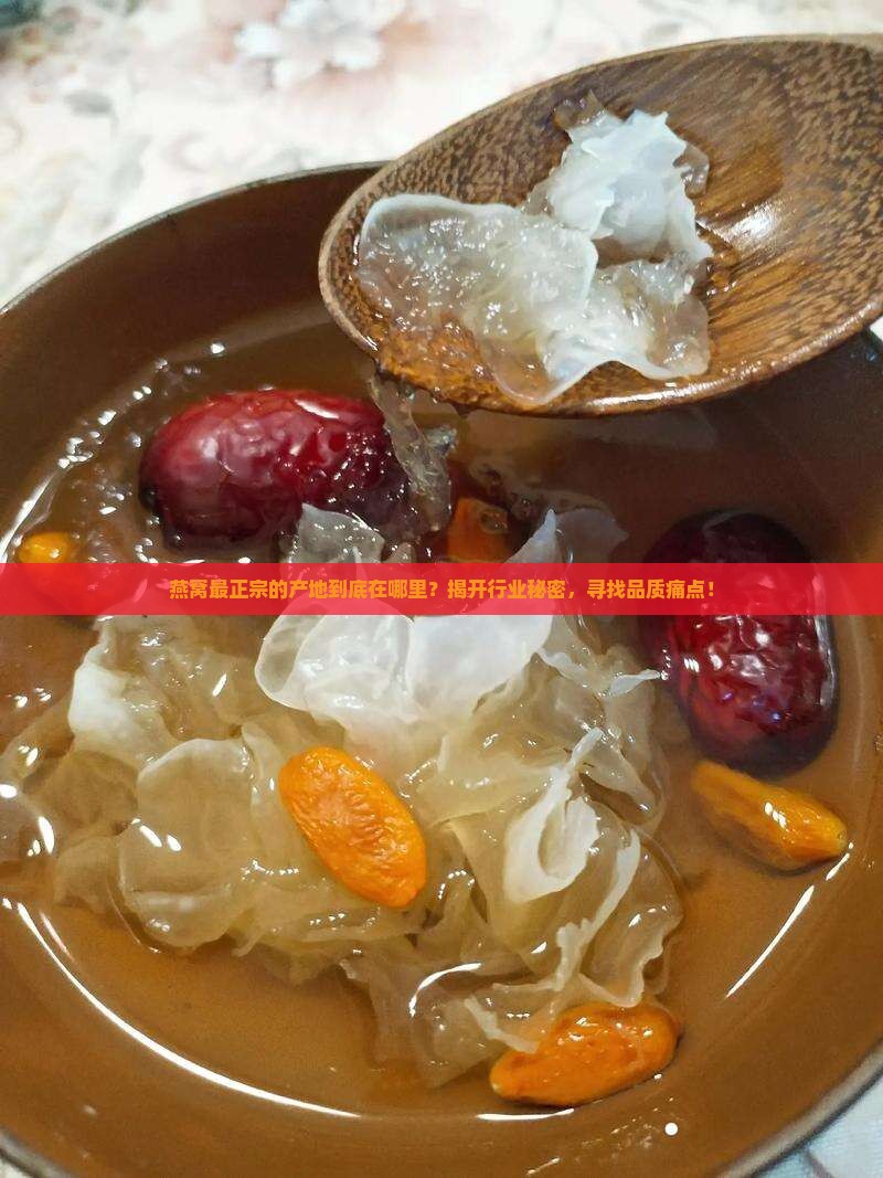 燕窝最正宗产地是哪里