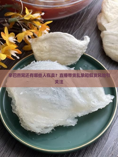 辛巴燕窝还有哪些人卖