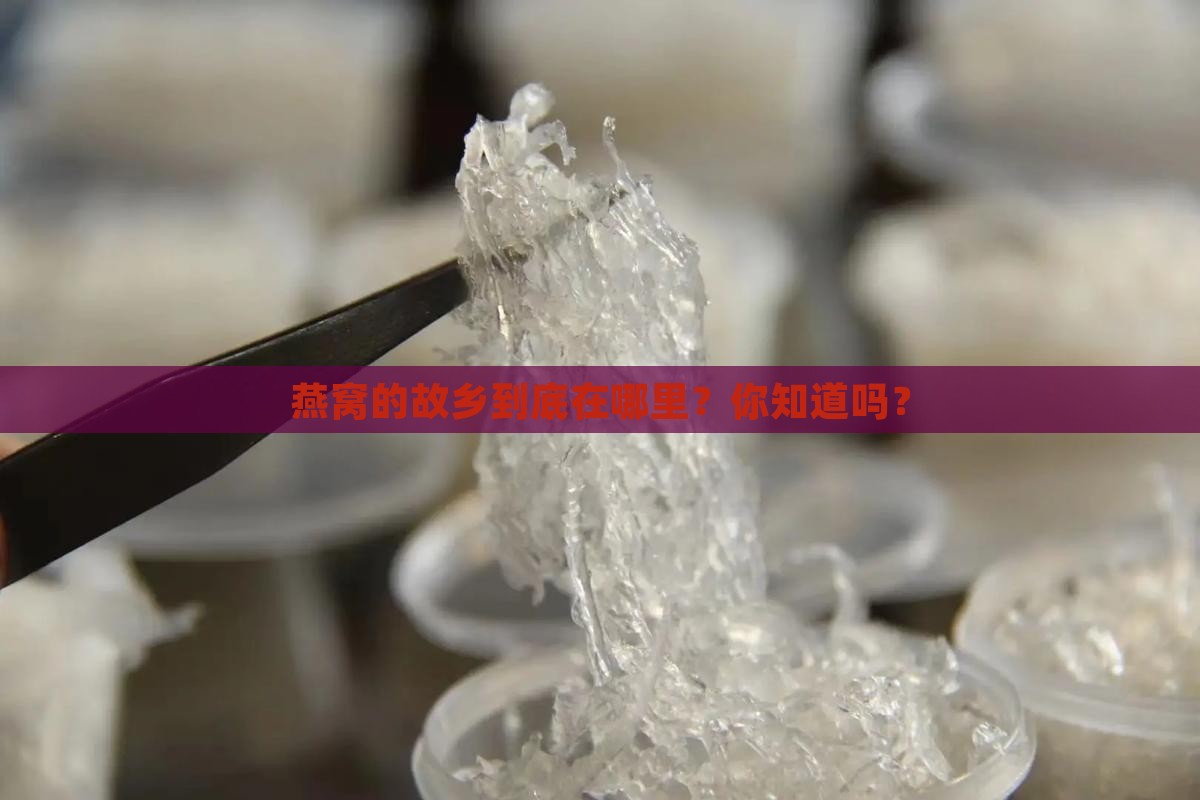 请问燕窝产地是哪个地方
