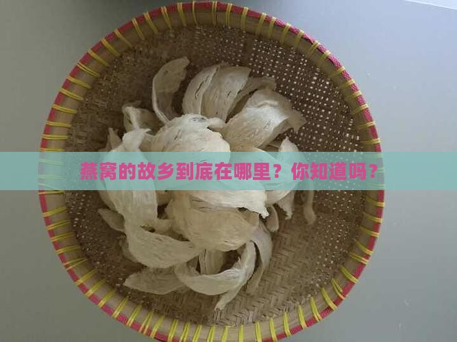 请问燕窝产地是哪个地方