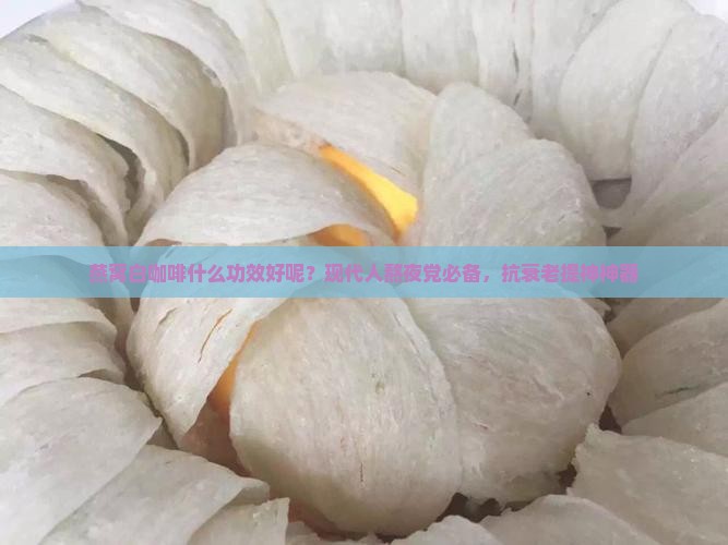 燕窝白咖啡什么功效好呢