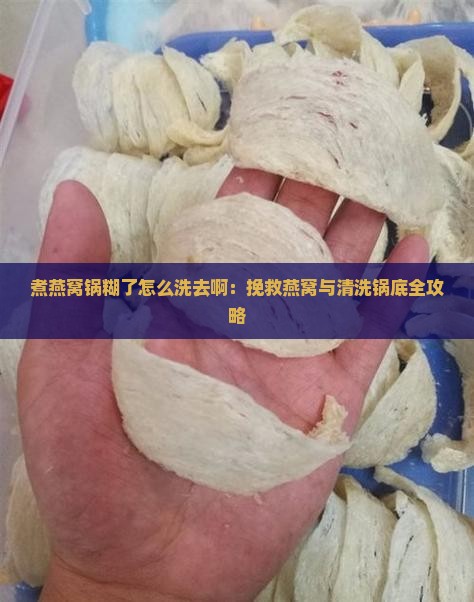 煮燕窝锅糊了怎么洗去啊