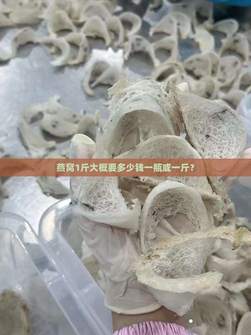 燕窝1斤大概要多少钱
