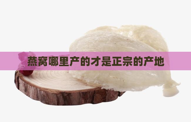燕窝是哪里产才是正宗的